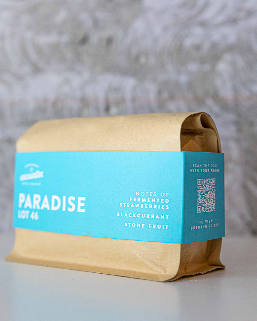 Micro Lot: Paradise - Diego Samuel, Colombia