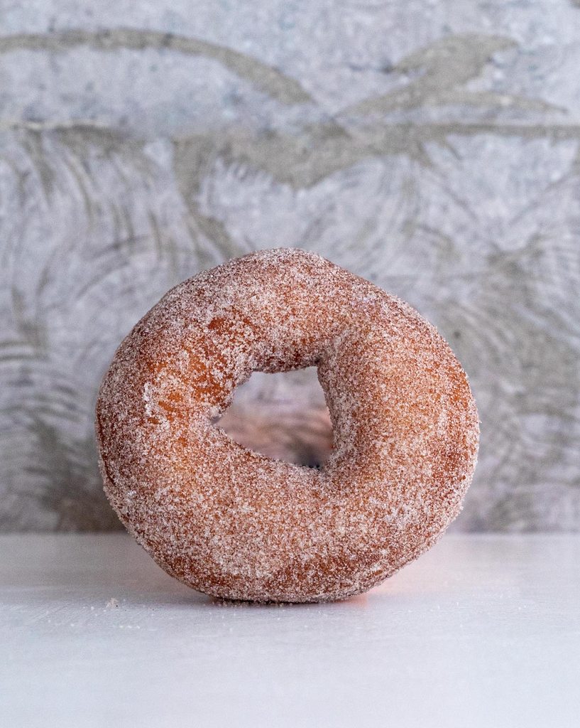 Plain Doughnut