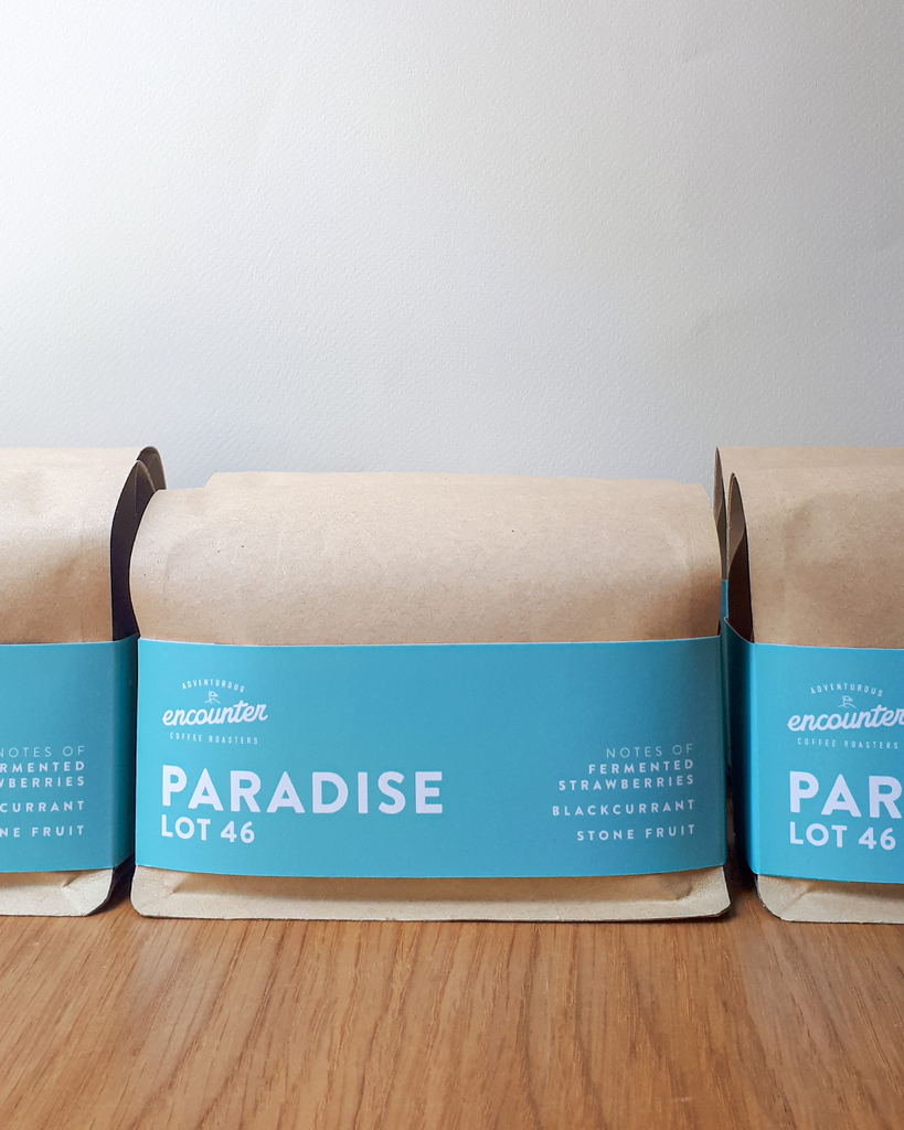 Micro Lot: Paradise - Diego Samuel, Colombia